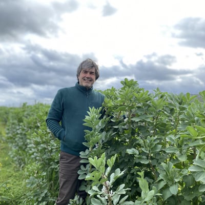 A Vita: Viticulture as Landscape Architecture