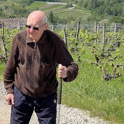 How Climate Change is Shaking Up Natural Winemaking