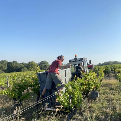Meet Tiphaine Pierlot and Corentin Le Bolloch from Domaine Autre Chose!