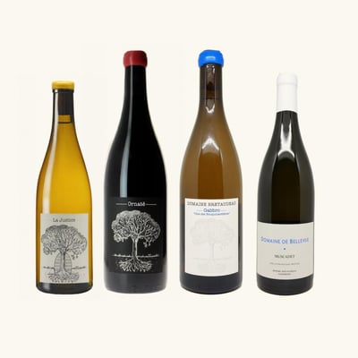 Natural Winemaker Jérôme Bretaudeau named Winemaker of the year!