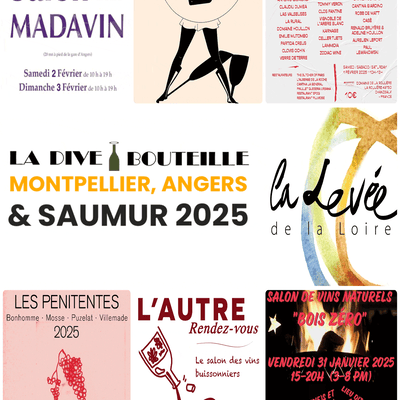 Professional Natural Wine Fairs 2025: Montpellier, Angers & Saumur.