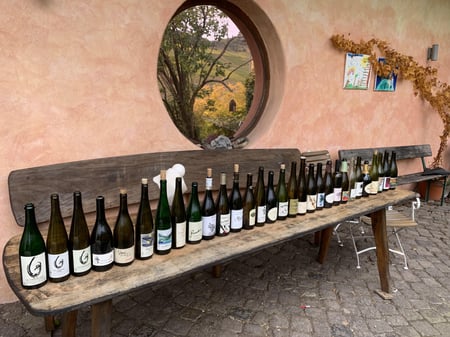 Grapepicking Riesling Mosel with Rita and Rudolf Trossen