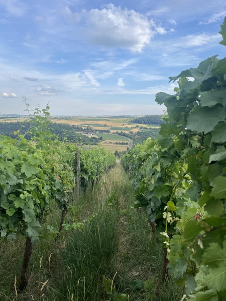 Harvest in September