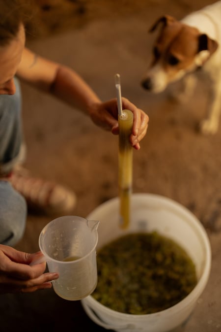 Marta Sierota - Bergamuty