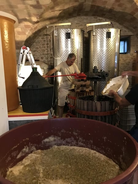 Enrico Gallinaro - Azienda Agricola Colle San Massimo