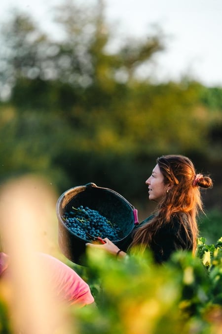 Justine FÉRAUD - Domaine Porte Rouge