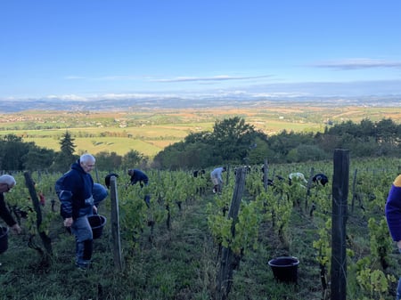 Perrine Quirion et John Guenole - Domaine Phloème