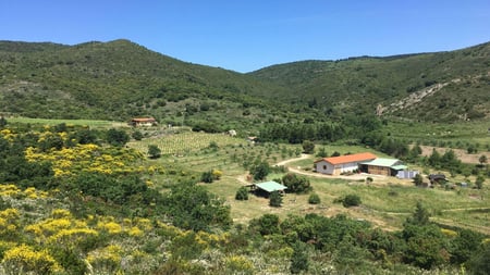 Antoine Latipau - Domaine de l'Encantade
