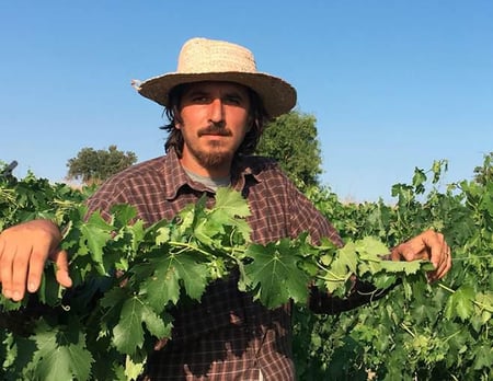 Dario Sorrentino - Il Mortellito