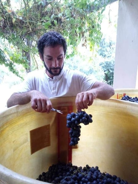 Fabien Chanavas - Domaine du petit bonhomme