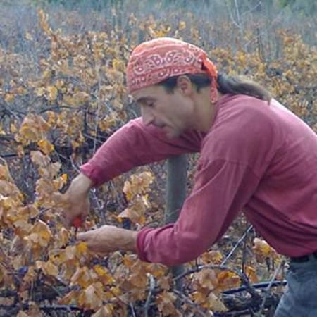 Fabio Bartolomei - Vinos Ambiz