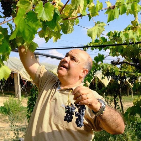 Giovanni Sallemi - Azienda Agricola Sallemi Giovanni