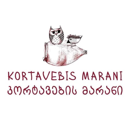 Tamuna Bidzinashvili - Kortavebis Marani