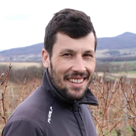 Henri Chauvet - Henri Chauvet