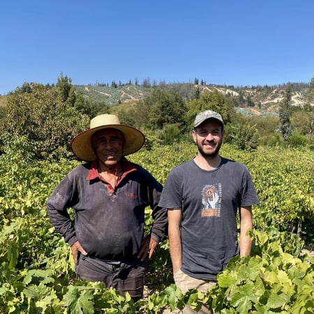 Ignacio Pino Román - Vinos Pino Román