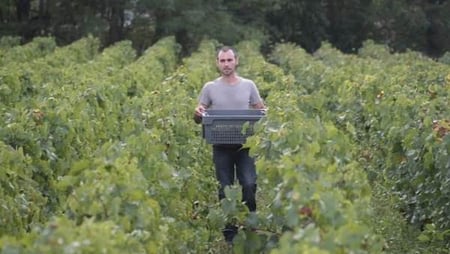 Julien Petitjean - Domaine De La Roseraie