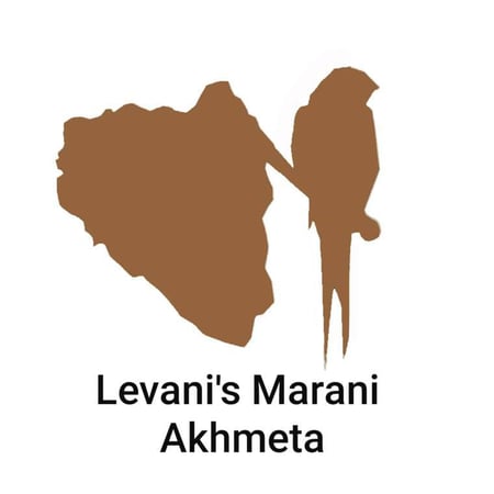 Levan Gogoladze - Levani's Marani Akhmeta