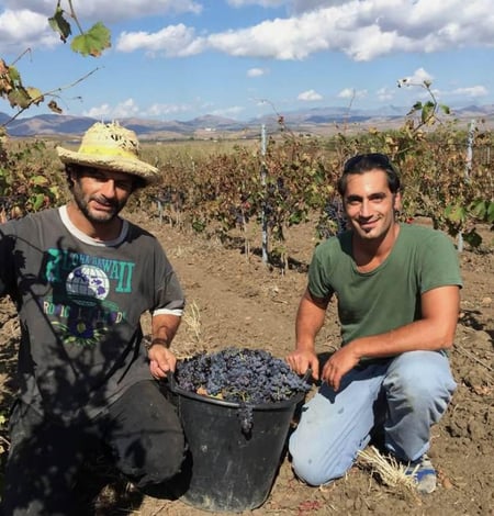 Luigi Stalteri & Alessandro Viola - Azienda Agricola Longarico s.s.