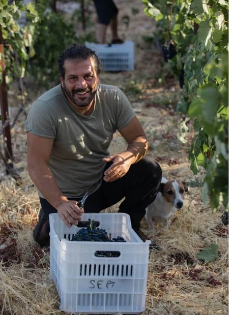 Maher Harb - Sept Winery