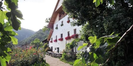 Matthias Messner - Rielinger