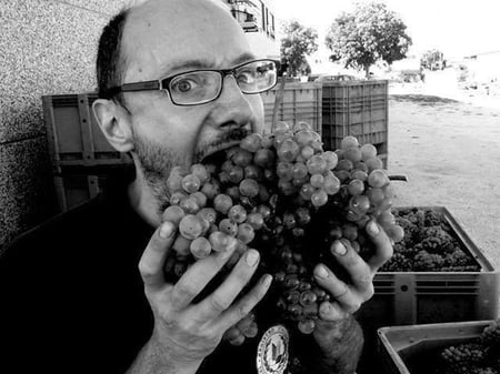 Mirco Mariotti - Azienda Agricola Mirco Mariotti