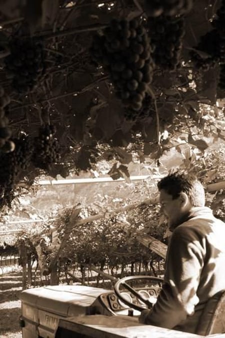 Paolo Zanini - Redondel