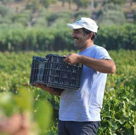 Salvatore Marino - Azienda Agricola Salvatore Marino