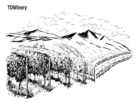 Tengiz Dvalishvili - TDWinery