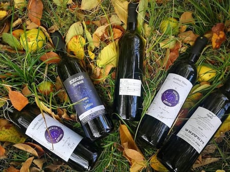 Vazha Getiashvili - Vazha Getiashvili Wine Cellar
