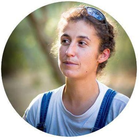 Anne-Laure Sicard