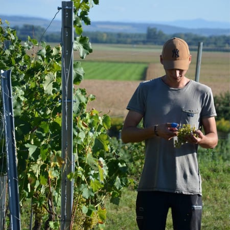 Florian Herzog