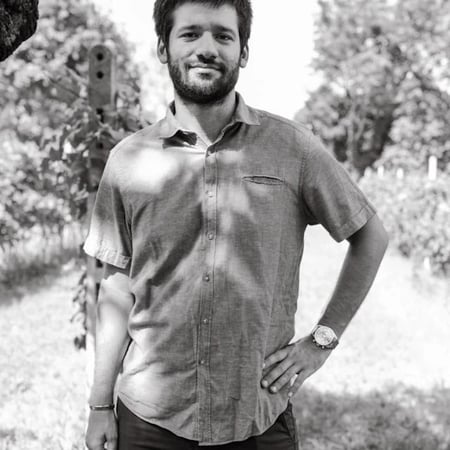 Daniele Paolucci