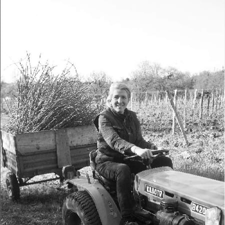 Carole Kohler