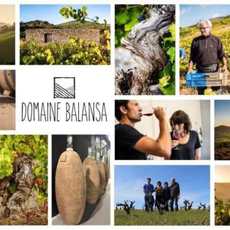 Céline Peyre & Alex Gressent - Domaine Balansa