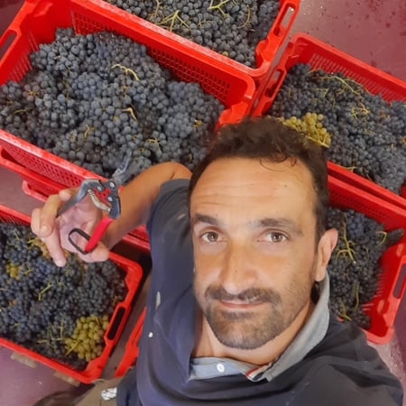 Fabio Signorelli