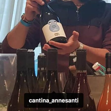 Francesco Annesanti