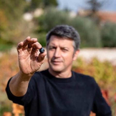 Frédéric Julien