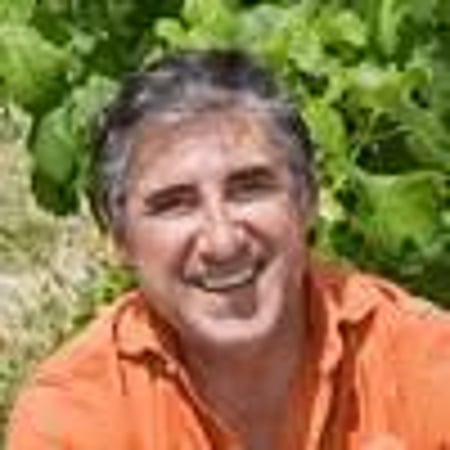 João Afonso