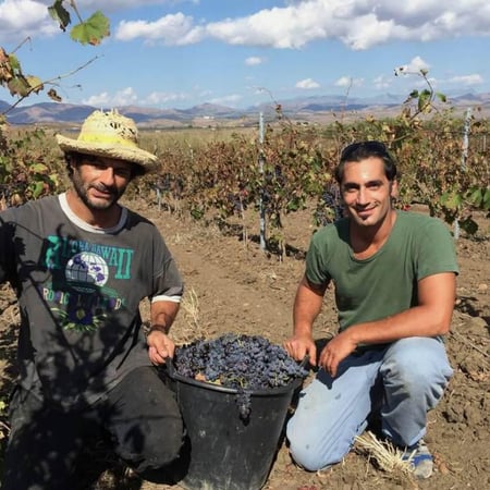 Luigi Stalteri & Alessandro Viola - Azienda Agricola Longarico s.s.