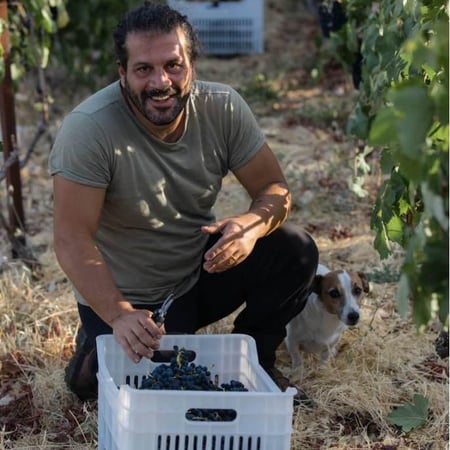 Maher Harb