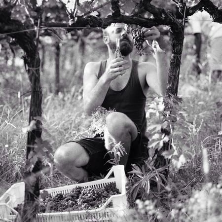 Marco Turco