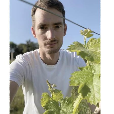 Matteo Bisol
