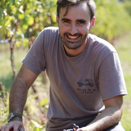 Sauro Maule