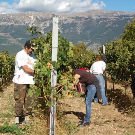 Podere La Brigata