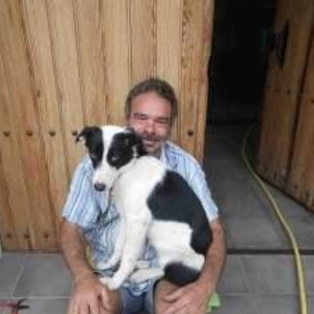 Steve Colombe