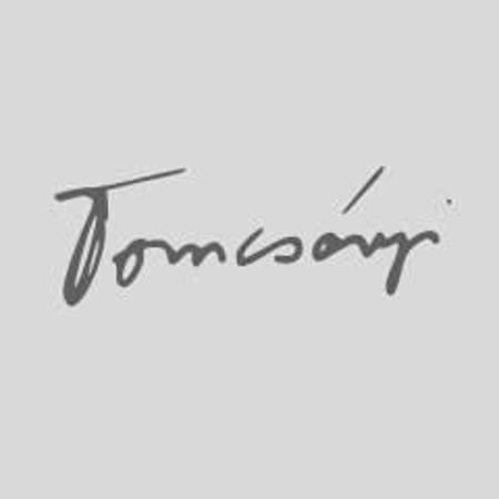 Tomcsányi Family
