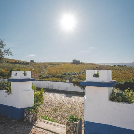 Vivas Family - Quinta do Olival da Murta