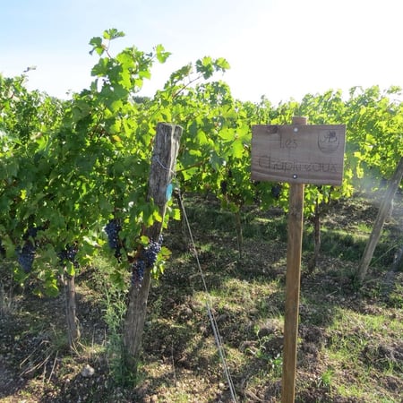 Bruno & Anne Paillocher