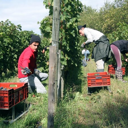 Christine et Bruno Duhamel