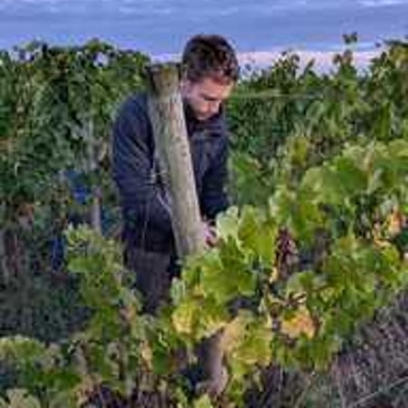 Pierre & Thomas Bertrand